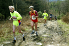 Hamsterley Forest Run